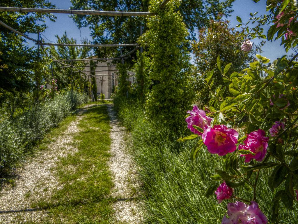 Agriturismo Cignale Penne Exterior photo