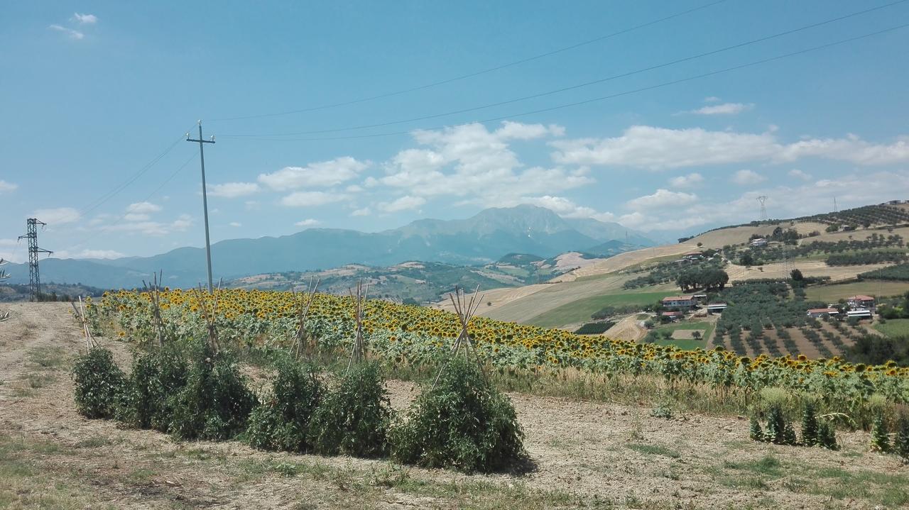 Agriturismo Cignale Penne Exterior photo